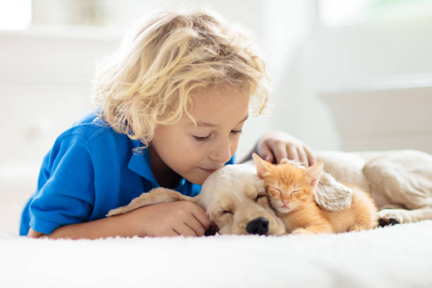 Little Ones & Pets