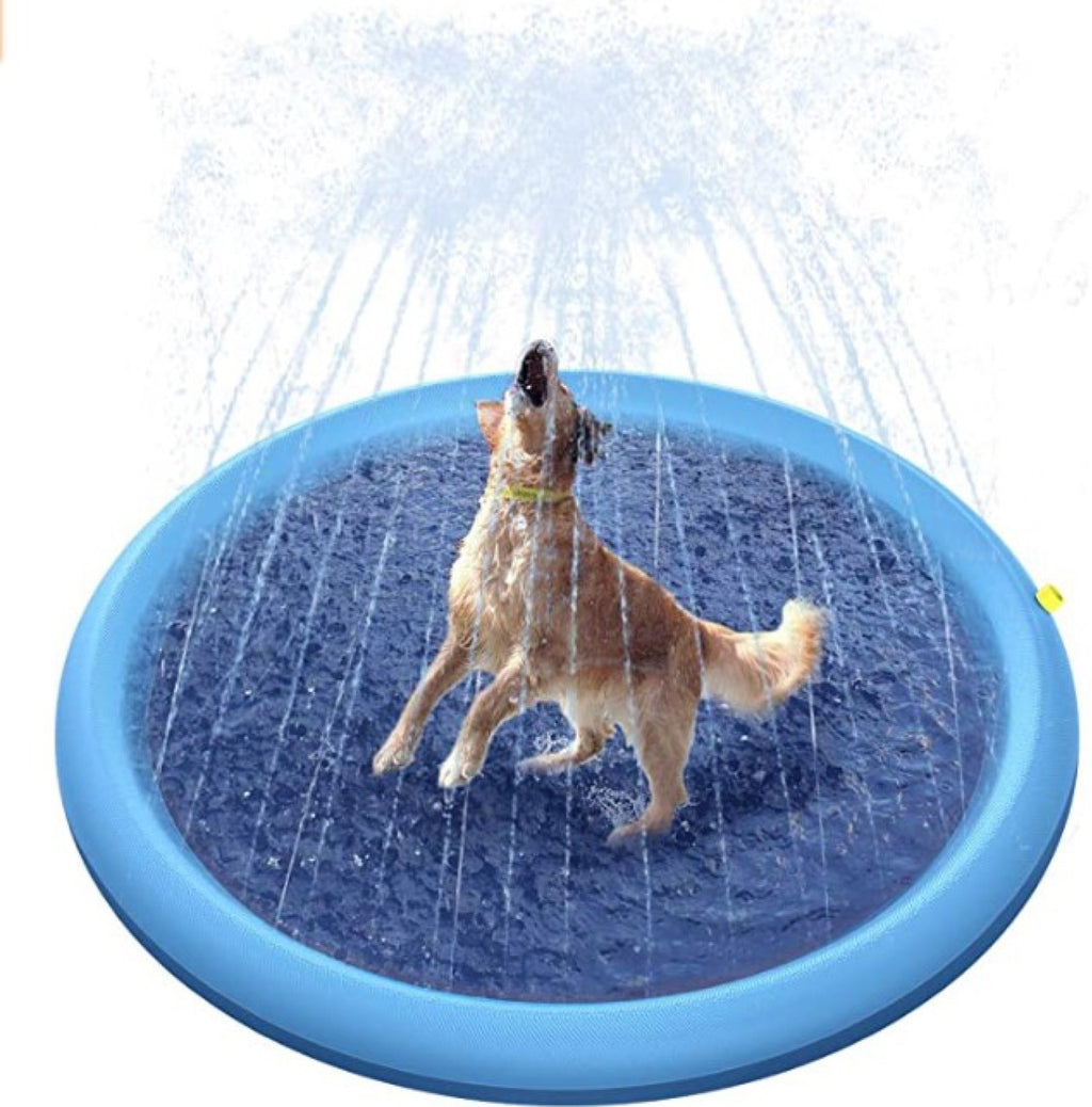 Dog playing in a blue Pet Water Splash Pad on a white background