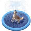 Dog playing in a blue Pet Water Splash Pad on a white background