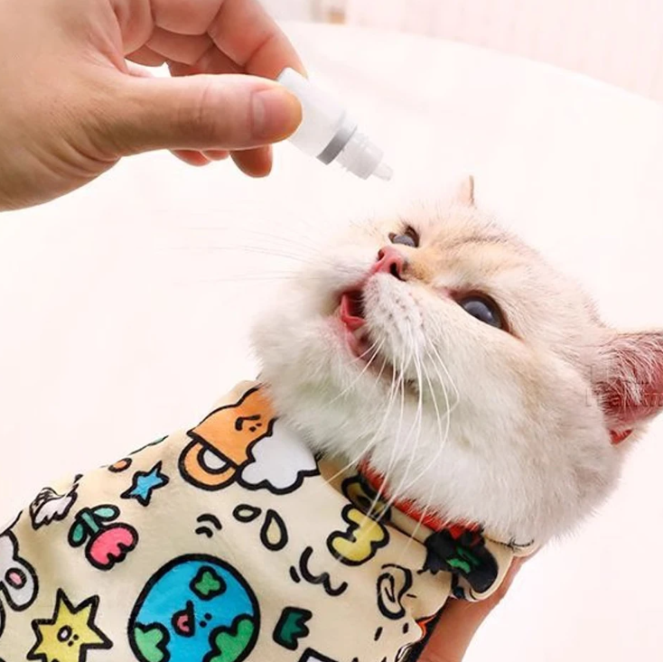 Cat wearing a colorful wrap being given a pill by a hand