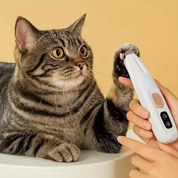 Waterproof Pet Hair Trimmer